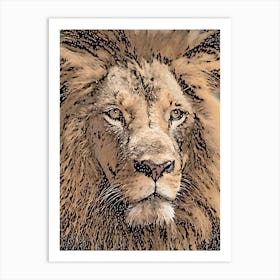 A Lion Head Close Up Art Print