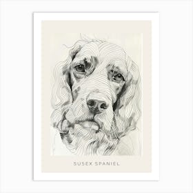 Susex Spaniel Dog Line Sketch 1 Poster Art Print