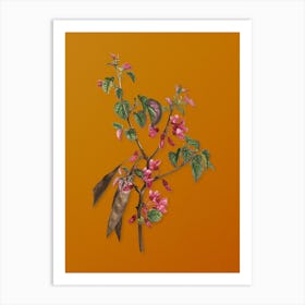 Vintage Judas Tree Botanical on Sunset Orange n.0366 Art Print