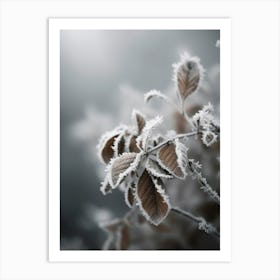 Frozen Nature Art Print