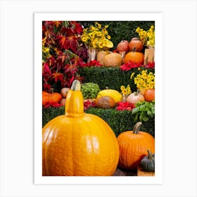 Pumpkins In A Garden Art Print