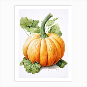 Turban Squash Pumpkin Watercolour Illustration 2 Art Print