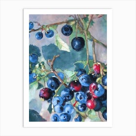 Blackcurrant Classic Fruit Art Print