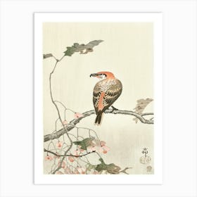 Crossbill On Tree Branch (1900 1910), Ohara Koson Art Print