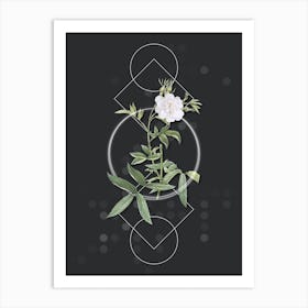 Vintage White Rose of York Botanical with Geometric Line Motif and Dot Pattern n.0095 Art Print