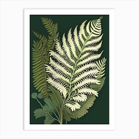 Sensitive Fern 4 Vintage Botanical Poster Art Print