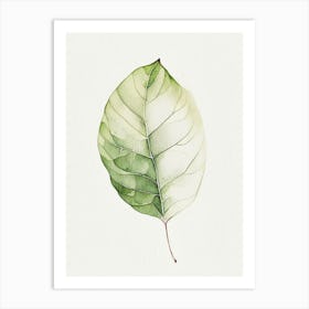 Potato Leaf Minimalist Watercolour 1 Art Print