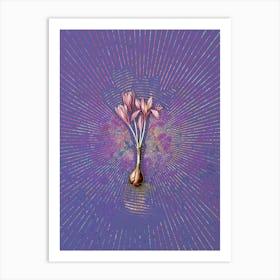 Vintage Autumn Crocus Botanical Illustration on Veri Peri n.0539 Art Print