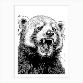 Red Panda Growling Ink Illustration 4 Art Print