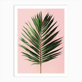 Palm Leaf On Pink Background 3 Art Print