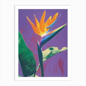 Bird Of Paradise 53 Art Print