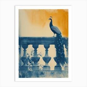 Orange & Blue Peacock On A Stone Balcony 1 Art Print