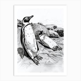 King Penguin Sunbathing On Rocks 4 Art Print