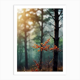 Autumn Trees In The Forest 1 Art Print