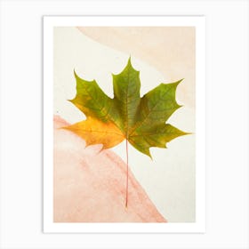 Maple Leaf Art Print