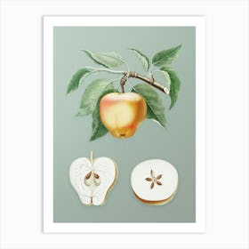 Vintage Carla Apple Botanical Art on Mint Green n.0319 Art Print