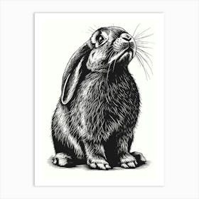 French Lop Blockprint Rabbit Illustration 5 Art Print