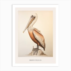 Vintage Bird Drawing Brown Pelican 3 Poster Art Print