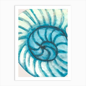 Nautilus Shell Art Print