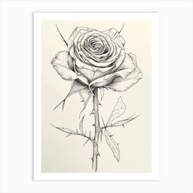 English Rose Black And White Line Drawing 33 Art Print