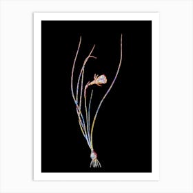 Stained Glass Daffodil Mosaic Botanical Illustration on Black n.0196 Art Print