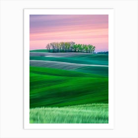 Sunset In The Fields Art Print