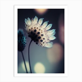 Translucent Beauty Art Print