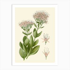 Eucalyptus 5 Art Print