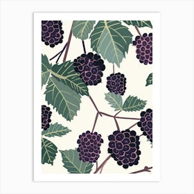 Blackberries Close Up Illustration 1 Art Print