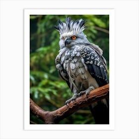 Perched Predation: Harpy Eagle Art Art Print