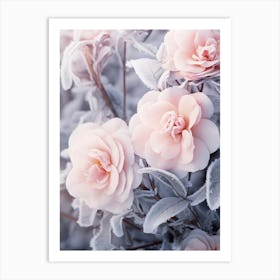 Frosty Botanical Camellia 3 Art Print