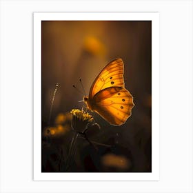 Butterfly In The Sun Art Print