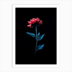 Red Dahlia Flower Art Print