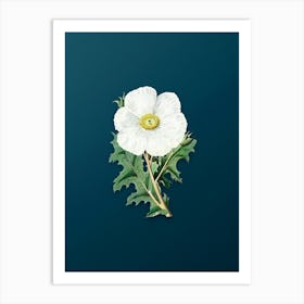 Vintage Mexican Poppy Flower Branch Botanical Art on Teal Blue n.0402 Art Print