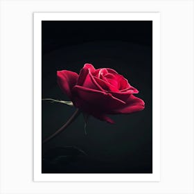 Rose Wallpaper 3 Art Print