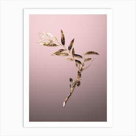 Gold Botanical Jujube on Rose Quartz n.2932 Art Print