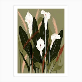 Calla Lilies 6 Art Print