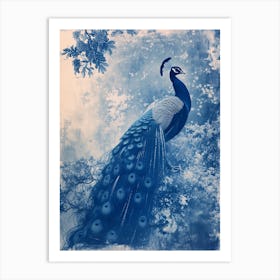 Peacock In The Wild Cyanotype Inspired 6 Art Print