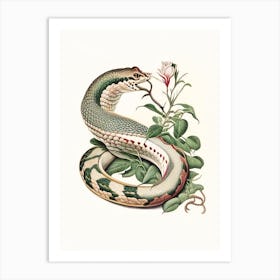 Rhinoceros Viper Snake Vintage Art Print