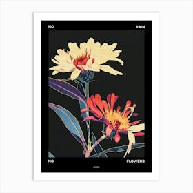 No Rain No Flowers Poster Asters 7 Art Print