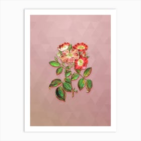 Vintage Rose Clare Flower Botanical Art on Crystal Rose n.0427 Art Print