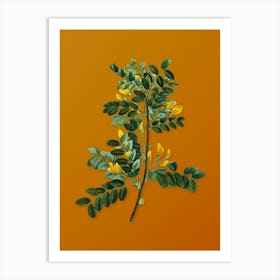 Vintage Siberian Pea Tree Botanical on Sunset Orange n.0490 Art Print