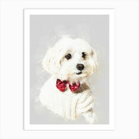 Maltese Dog 1 Art Print