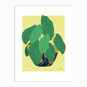 Calathea flowers plant Art Print