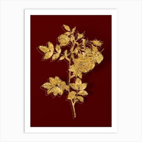Vintage Turnip Roses Botanical in Gold on Red Art Print