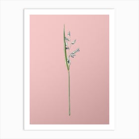 Vintage Powdery Alligator Flag Botanical on Soft Pink n.0872 Art Print