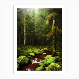 Mossy Forest 8 Art Print