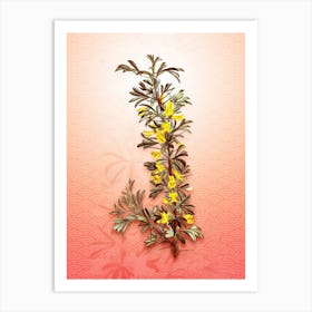 Caragana Spinosa Vintage Botanical in Peach Fuzz Seigaiha Wave Pattern n.0212 Art Print