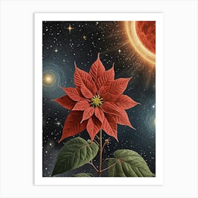 Poinsettia no2 Art Print