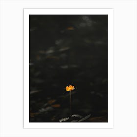 Single Flower In Water 2 Art Print